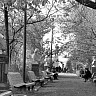 Саратовцев позвали на экскурсию по любимому месту отдыха Гагарина